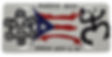 Puerto Rico Flag Sun & Coqui Taino License Plate