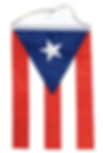 Puerto Rico Flag 5 X 8 Inches