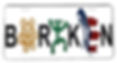 Boriken , Puerto Rico Flag & Coqui , Sun Taino License Plate