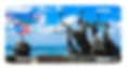Puerto Rico Isla Del Encanto License Plate