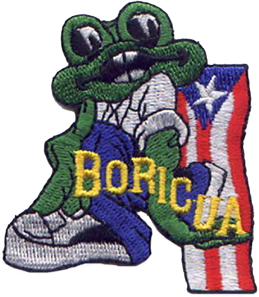 Coqui , Boricua & Puerto Rico Flag Embroidered Patch