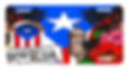 Puerto Rico & Boricua License Plate