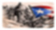 Puerto Rico Flag Garita & Coqui License Plate