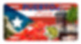 Puerto Rico Flag Garita Amapola & Coqui License Plate