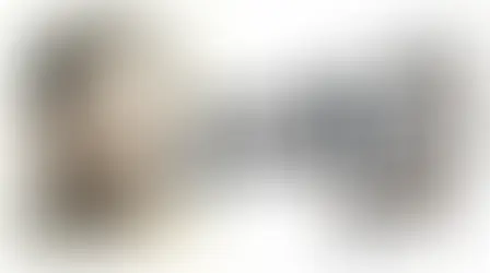 Adeus Notion? Quando Criar um Sistema Próprio e Quando Evoluir Sua Arquitetura