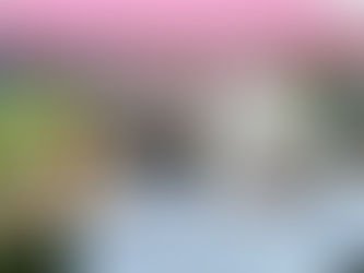 Harvest market day is back! Saturday Sept 13 9-1