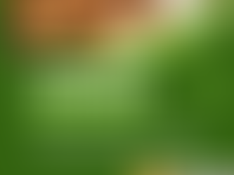 Come find us Sunday August 4th at Hilltop Truck Park