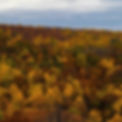 vos-unsplash-8.jpg