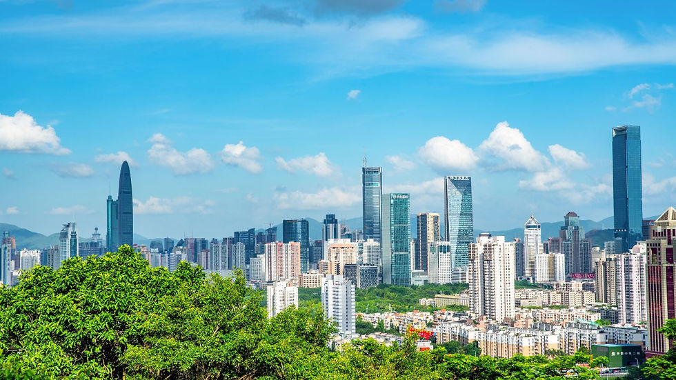 Real Estate Development