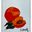 Thumbnail: Farm to Table Card Set