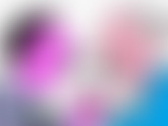 Tous les chemins mènent en Floride ! 