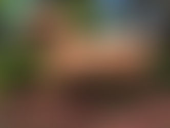 Le centre équestre international de Palm Beach