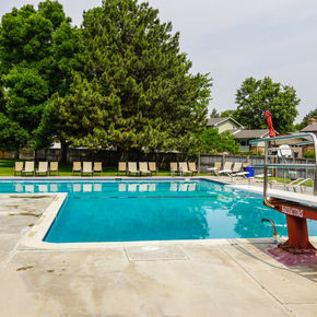 Back view of the diving board