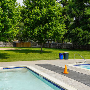 Large grassy area for lounging and having fun