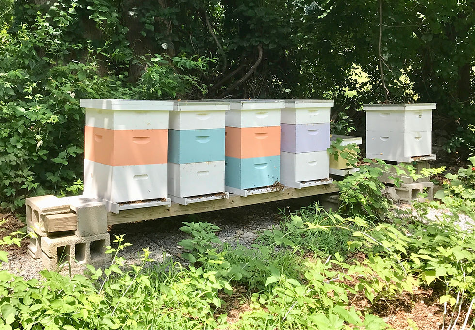 Hives_edited.jpg