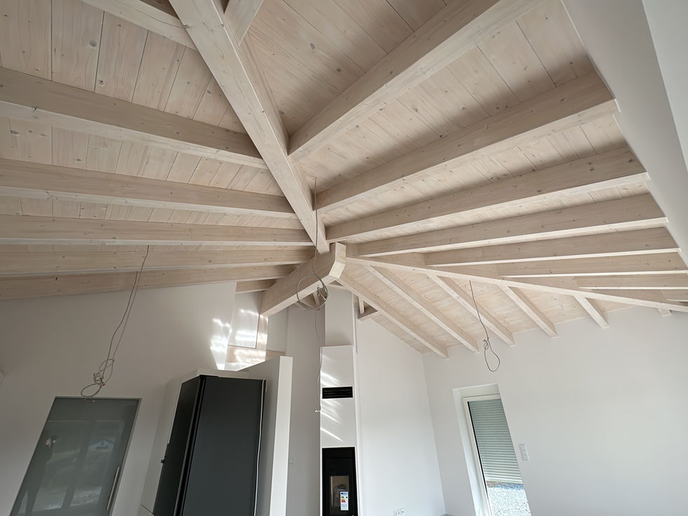 Beschichtete Holzdecke Bio Haus
