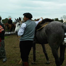 14368875_1679003592427415_3756906417584265082_n