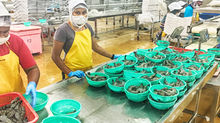 Hong cheng seafood event list