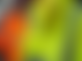 Top Hi-Vis Workwear Brands in Australia