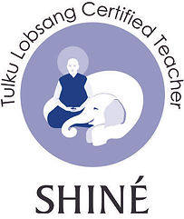 NMI_LJ_LM23_Certified Teacher_SHINE_Logo_CMYK_RZ.jpg