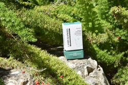 koh-phi-phi-clear_DSC_0706