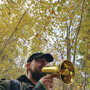 Zelta plosts Siguldā