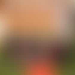 "Greizais kompass" 2024