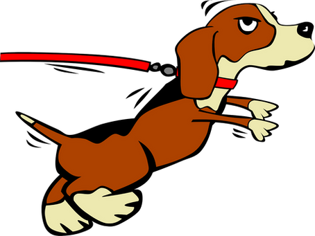 Hilfe, der Hund zieht!