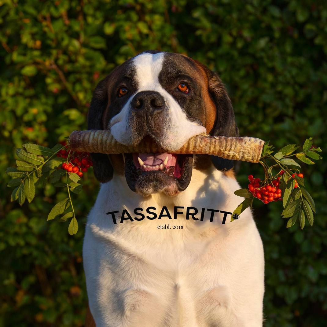 Oxstrupe 40 cm, 1 pack