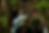 © Tourismusverband Wipptal