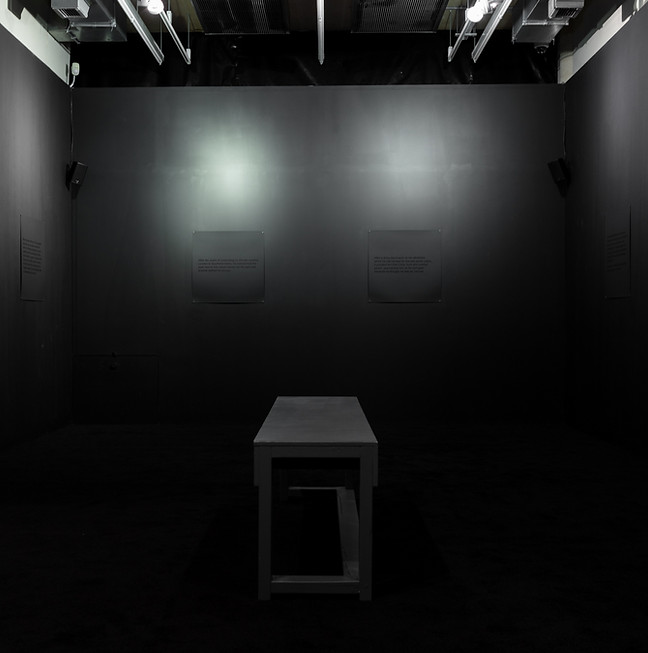 Elsa James installation at Focal Point Gallery