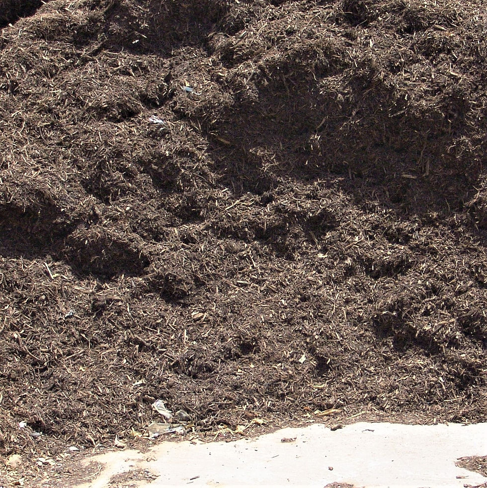 Soils, compost and fertilizer