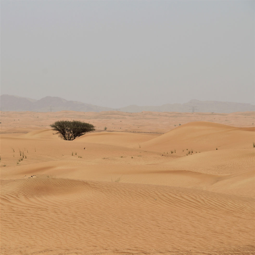 UAE native inland soil
