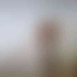 Predator - Dragon fly