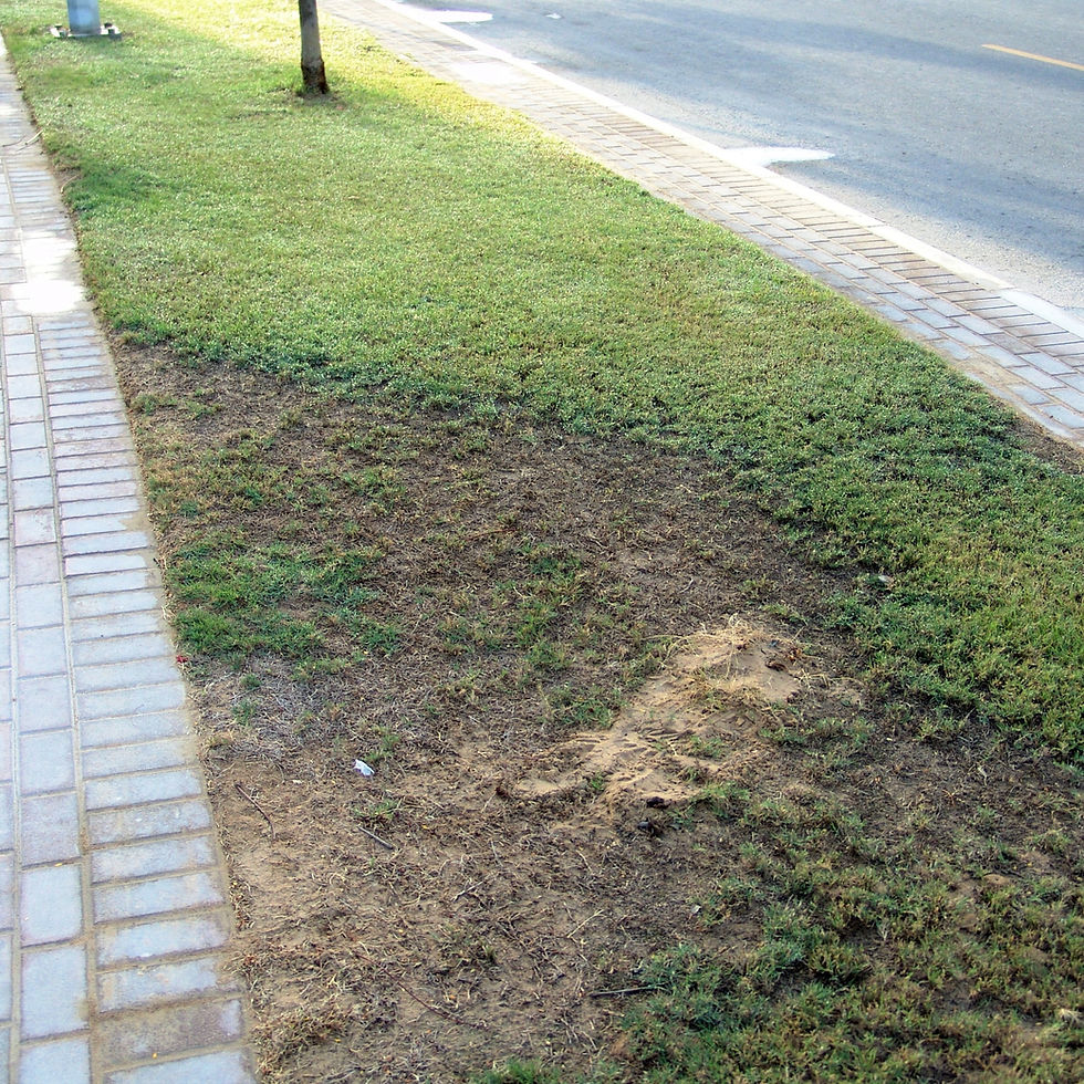 Landscape Maintenance