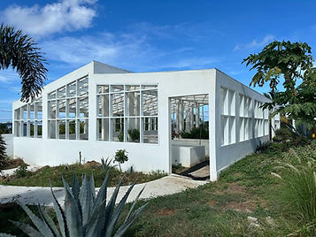 nutrition and yoga retreat 2025