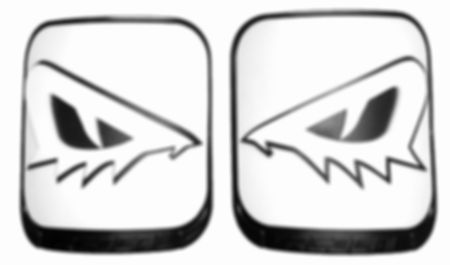 Snake/Gator/Reptile Eyes