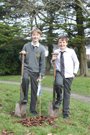 New Trees for National Tree Week