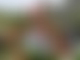 Spring Wreath Competition