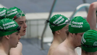 Swimming News