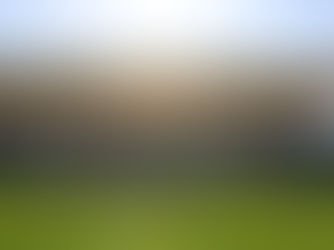 Leinster Schools Senior Cup Final