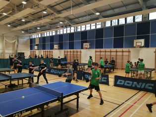 Table Tennis in Castleknock