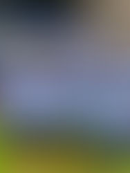 2026 Dublin Minor Hurling Panel