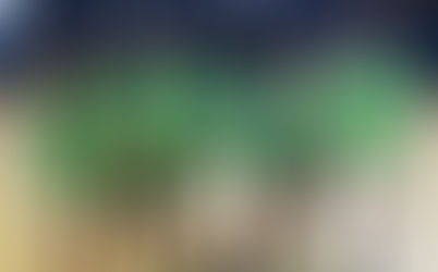 Leinster Schools Frisbee