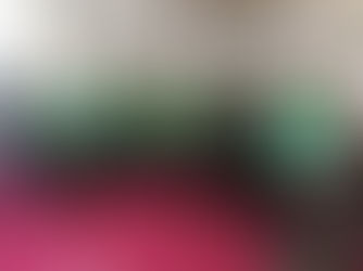 Author Visit: Robert Grant