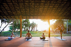 centers_2018_06_11_talalla yoga & surf retreat sri-lanka231528714654_edited.jpg