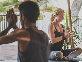 the travelling yogi