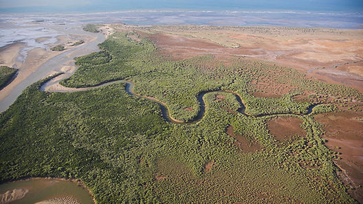 rt-dampier-operations.jpg