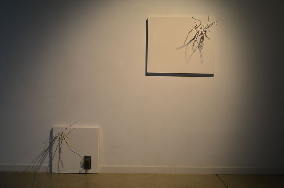 Expedición Nº 1 y Nº 2