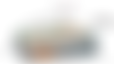 OMSAC: investigates: Human Activities and Seismic Risk